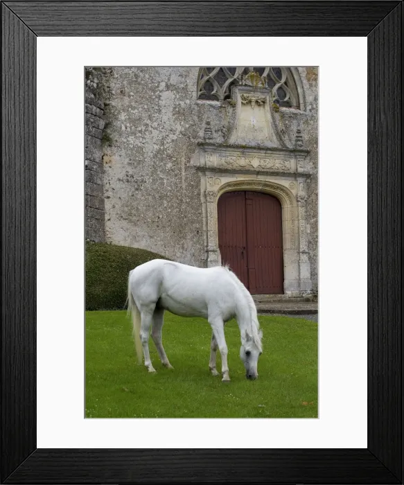 Framed Print : Picture No. 10898661 Framed Print : Picture No. 10898661