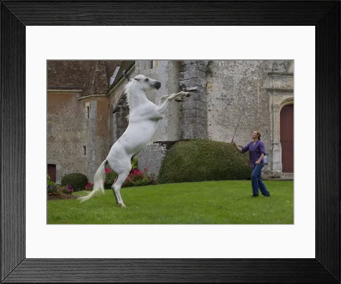 Framed Print : Picture No. 10898669 Framed Print : Picture No. 10898669