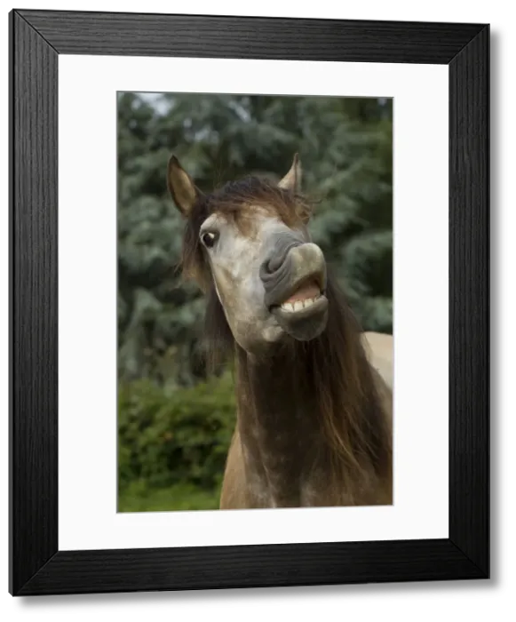 Framed Print : Picture No. 10898680 Framed Print : Picture No. 10898680