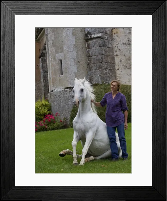 Framed Print : Picture No. 10898673 Framed Print : Picture No. 10898673