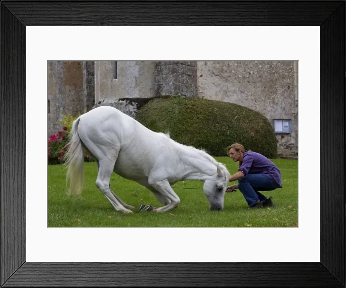 Framed Print : Picture No. 10898674 Framed Print : Picture No. 10898674