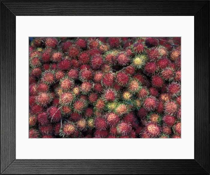 Framed Print : Picture No. 10896505 Framed Print : Picture No. 10896505