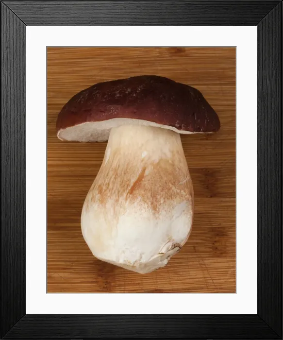 Framed Print : Picture No. 10896514 Framed Print : Picture No. 10896514