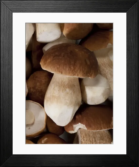 Framed Print : Picture No. 10896515 Framed Print : Picture No. 10896515