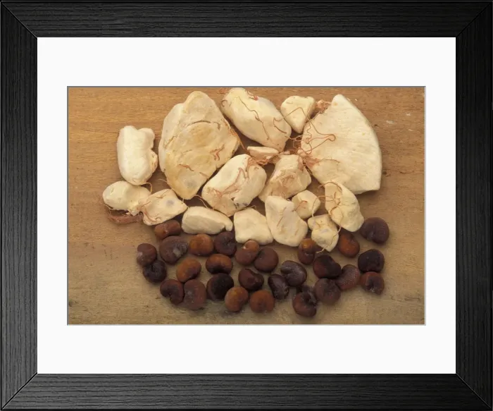 Framed Print : Picture No. 10896545 Framed Print : Picture No. 10896545