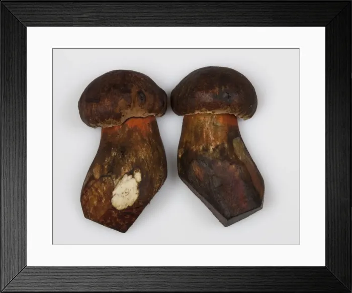 Framed Print : Picture No. 10896556 Framed Print : Picture No. 10896556