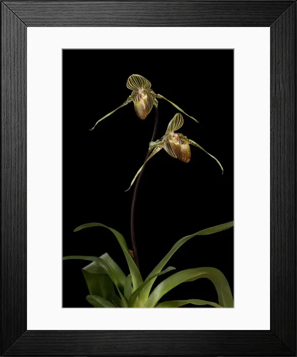 Framed Print : Picture No. 10896573 Framed Print : Picture No. 10896573