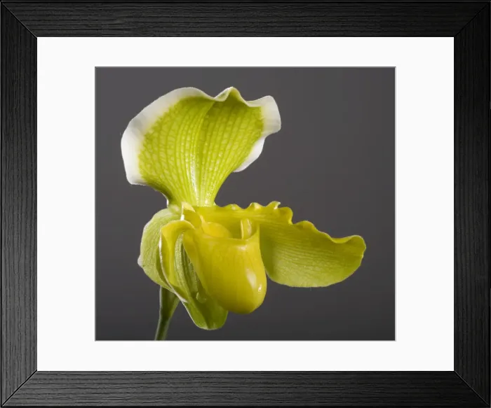 Framed Print : Picture No. 10896605 Framed Print : Picture No. 10896605