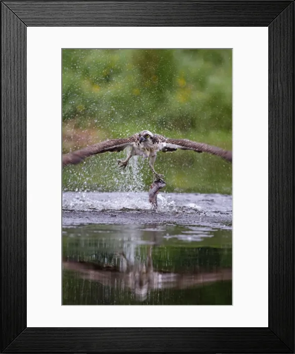 Framed Print : Picture No. 10896637 Framed Print : Picture No. 10896637