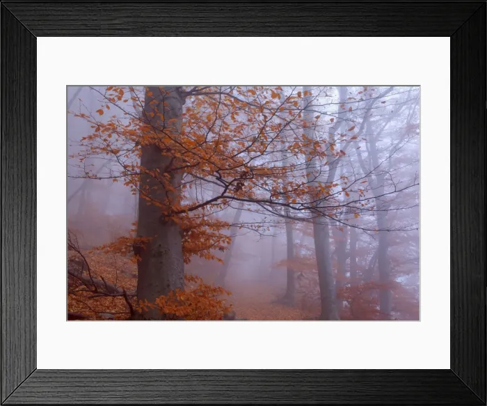 Framed Print : Picture No. 10896653 Framed Print : Picture No. 10896653