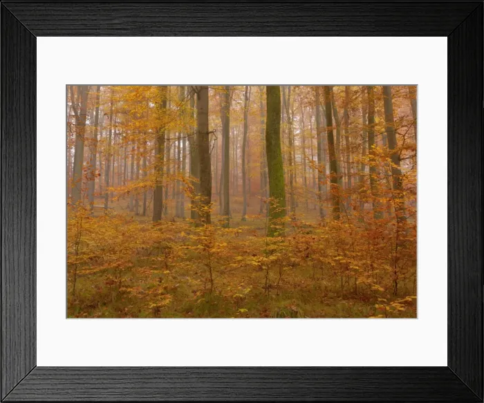 Framed Print : Picture No. 10896667 Framed Print : Picture No. 10896667