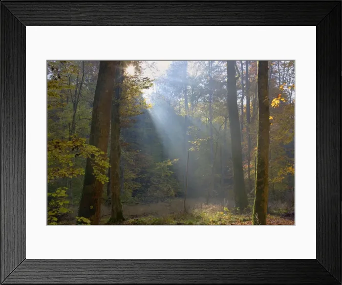 Framed Print : Picture No. 10896671 Framed Print : Picture No. 10896671