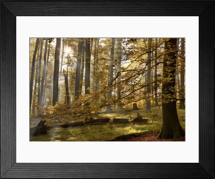 Framed Print : Picture No. 10896672 Framed Print : Picture No. 10896672
