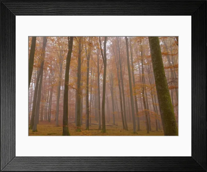 Framed Print : Picture No. 10896669 Framed Print : Picture No. 10896669