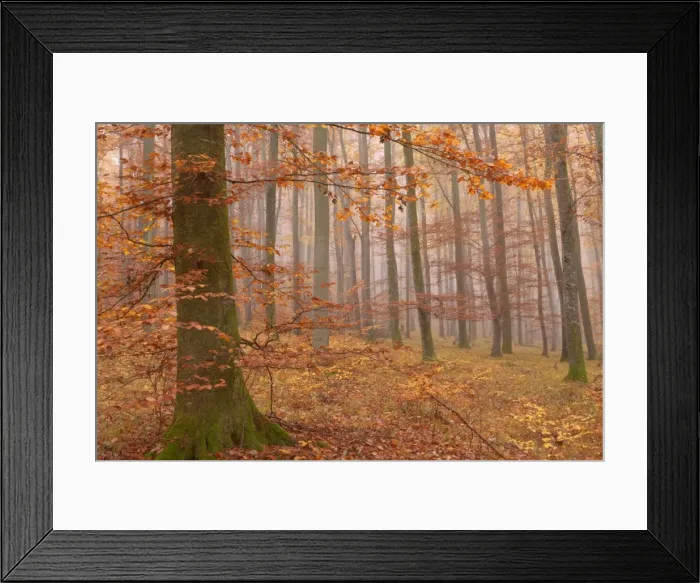 Framed Print : Picture No. 10896670 Framed Print : Picture No. 10896670