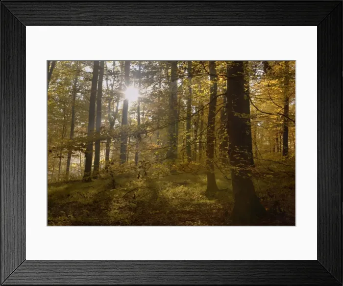 Framed Print : Picture No. 10896674 Framed Print : Picture No. 10896674