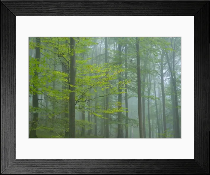 Framed Print : Picture No. 10896678 Framed Print : Picture No. 10896678