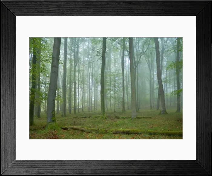 Framed Print : Picture No. 10896680 Framed Print : Picture No. 10896680