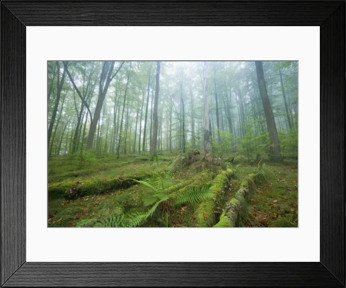 Framed Print : Picture No. 10896681 Framed Print : Picture No. 10896681