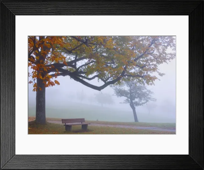 Framed Print : Picture No. 10896683