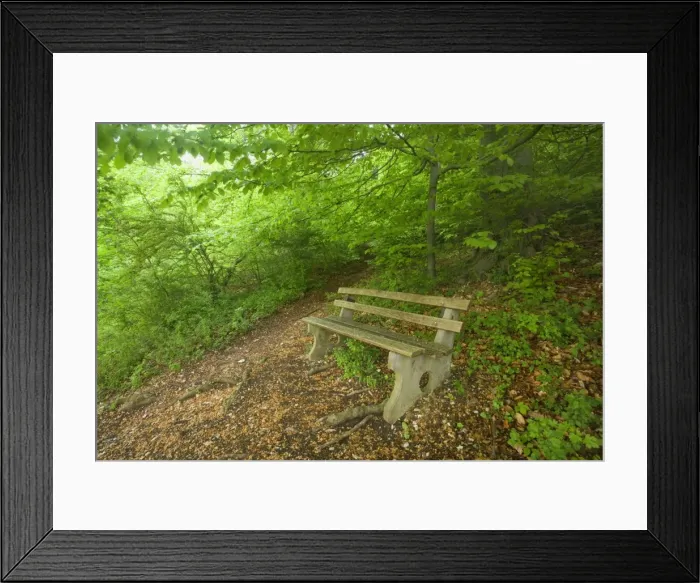Framed Print : Picture No. 10896684 Framed Print : Picture No. 10896684