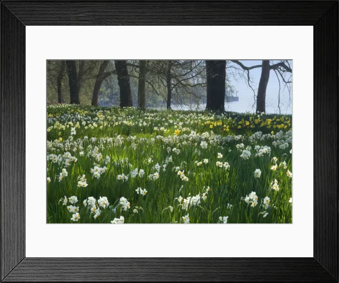 Framed Print : Picture No. 10896701 Framed Print : Picture No. 10896701