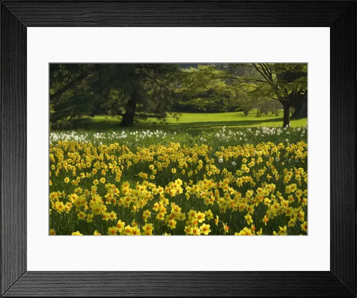 Framed Print : Picture No. 10896702 Framed Print : Picture No. 10896702