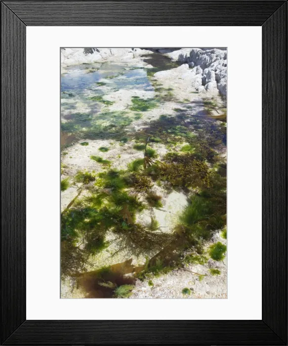 Framed Print : Picture No. 10899857 Framed Print : Picture No. 10899857