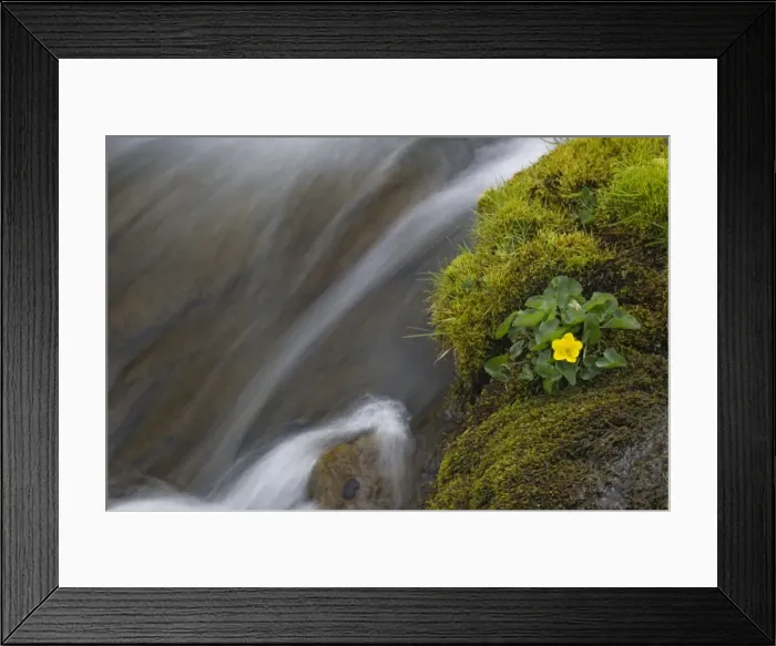 Framed Print : Picture No. 10899875