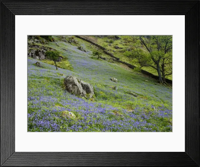 Framed Print : Picture No. 10899867 Framed Print : Picture No. 10899867