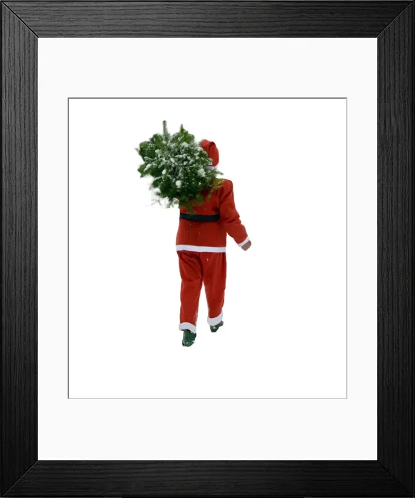 Framed Print : Picture No. 10899901