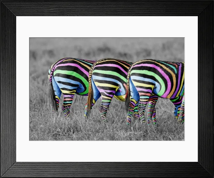 Framed Print : Picture No. 10899910 Framed Print : Picture No. 10899910