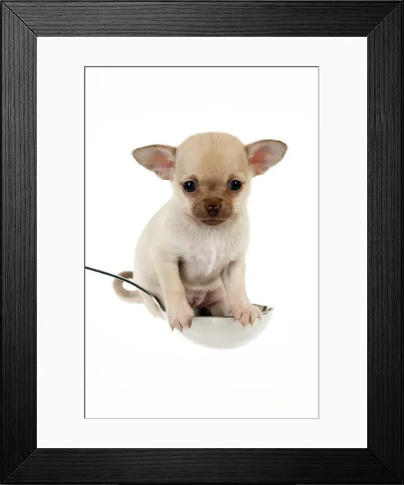 Framed Print : Picture No. 10899919 Framed Print : Picture No. 10899919