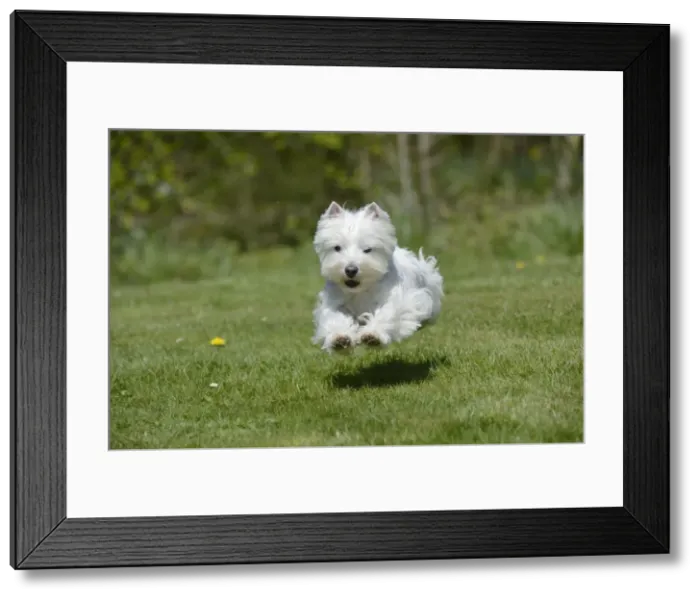 Framed Print : Picture No. 10899934 Framed Print : Picture No. 10899934
