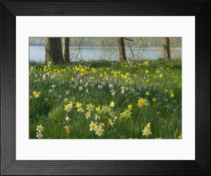 Framed Print : Picture No. 10896705 Framed Print : Picture No. 10896705
