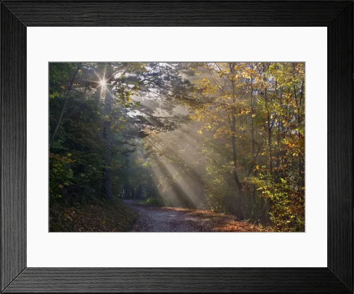 Framed Print : Picture No. 10896738 Framed Print : Picture No. 10896738