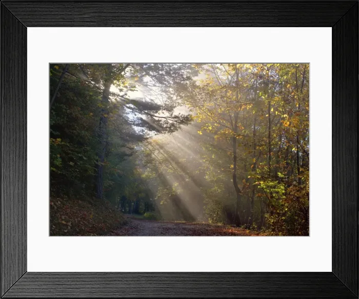 Framed Print : Picture No. 10896737 Framed Print : Picture No. 10896737