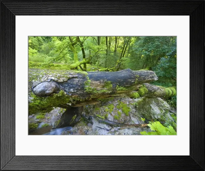 Framed Print : Picture No. 10896744 Framed Print : Picture No. 10896744