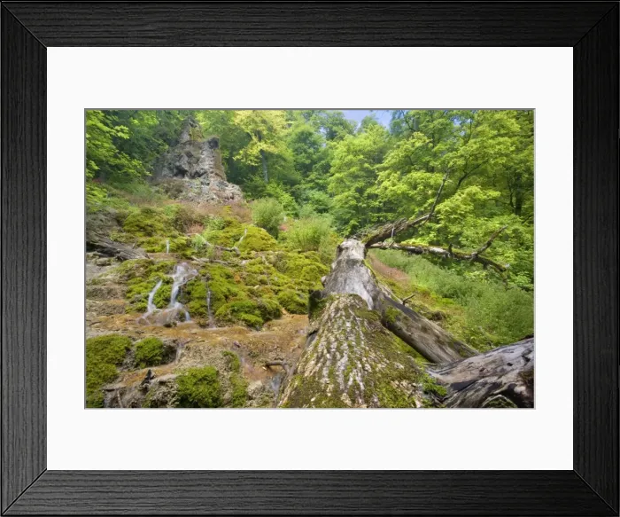 Framed Print : Picture No. 10896742 Framed Print : Picture No. 10896742
