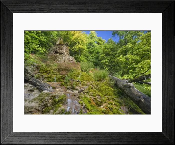 Framed Print : Picture No. 10896745 Framed Print : Picture No. 10896745