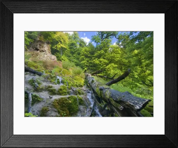 Framed Print : Picture No. 10896743 Framed Print : Picture No. 10896743