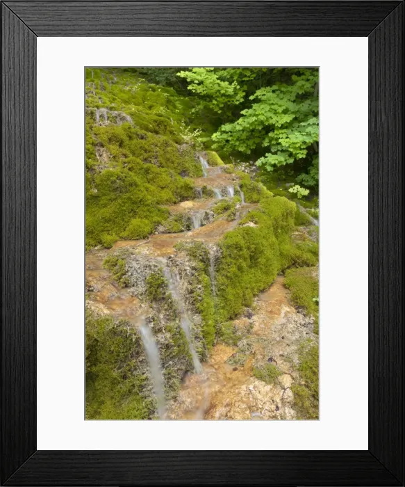 Framed Print : Picture No. 10896750 Framed Print : Picture No. 10896750