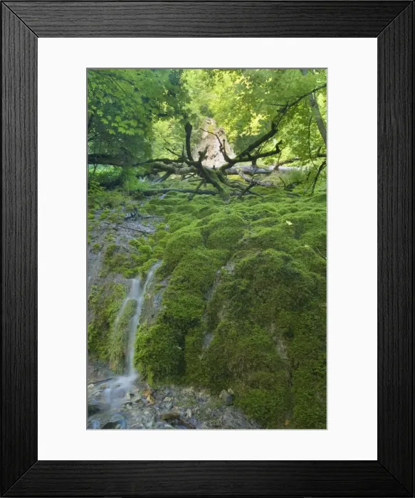 Framed Print : Picture No. 10896746 Framed Print : Picture No. 10896746