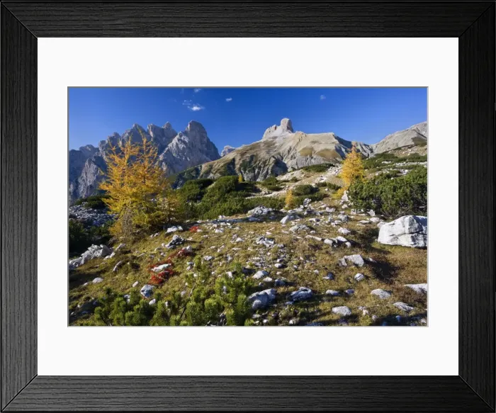 Framed Print : Picture No. 10896822