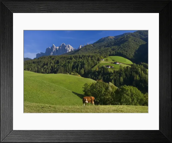 Framed Print : Picture No. 10896824 Framed Print : Picture No. 10896824