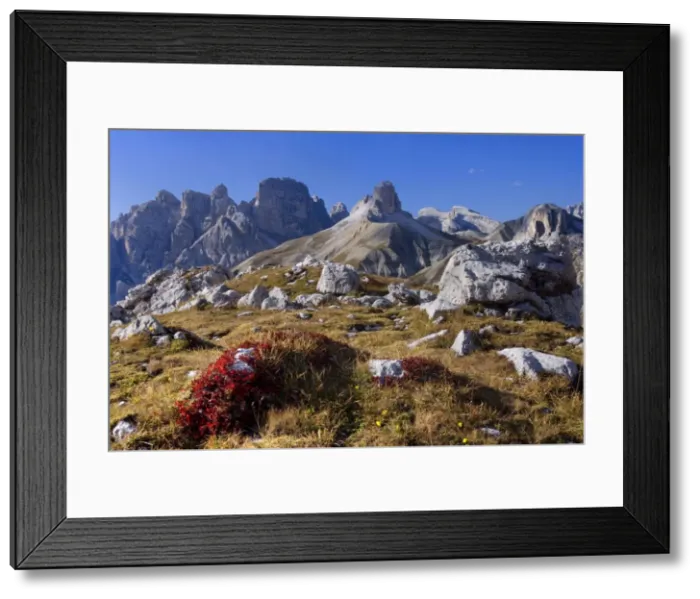 Framed Print : Picture No. 10896821 Framed Print : Picture No. 10896821