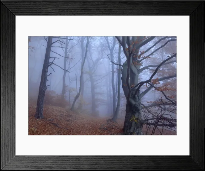 Framed Print : Picture No. 10896845 Framed Print : Picture No. 10896845