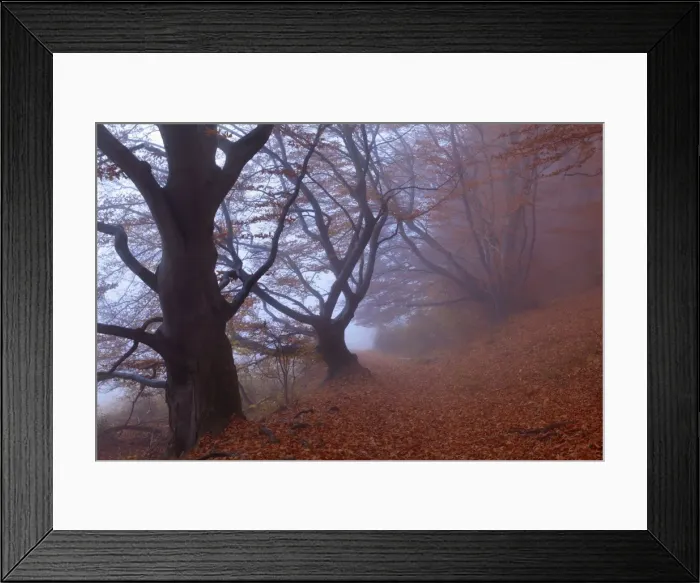 Framed Print : Picture No. 10896846 Framed Print : Picture No. 10896846