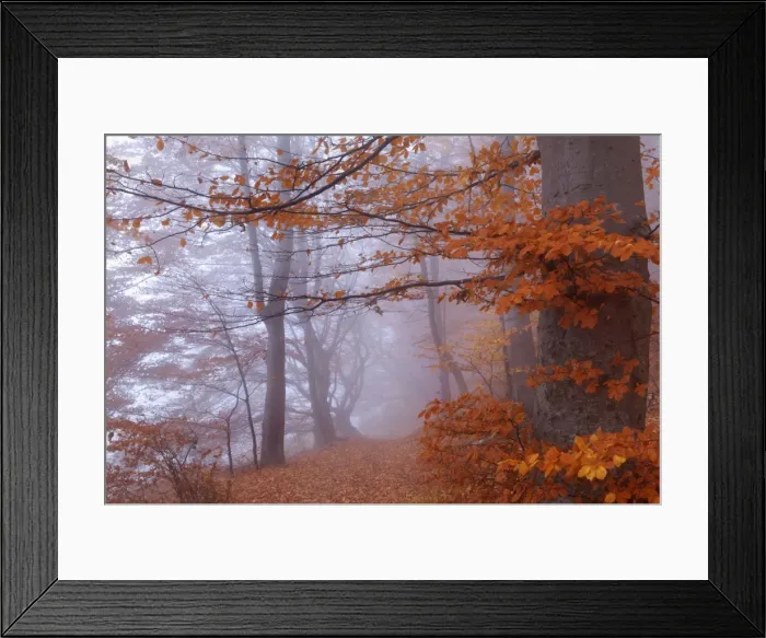 Framed Print : Picture No. 10896847 Framed Print : Picture No. 10896847