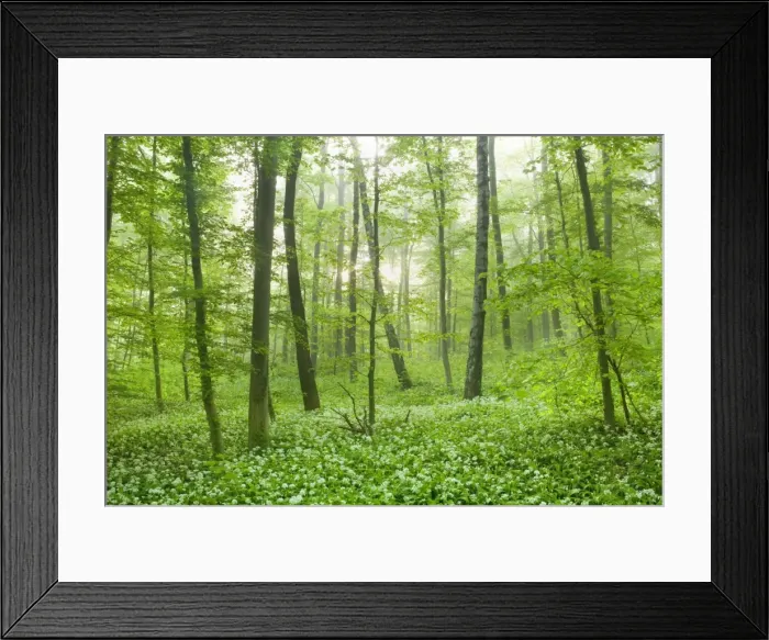 Framed Print : Picture No. 10896907 Framed Print : Picture No. 10896907